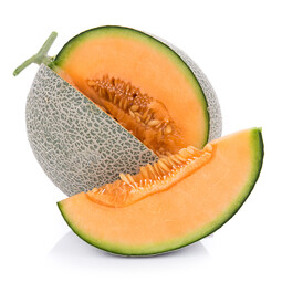 Fruit Melon Sample